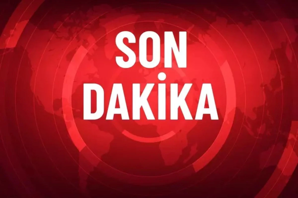 AYM'den Sokak Hayvanları Yasası'nın iptal istemine ret