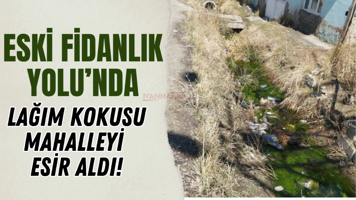 Eski Fidanlık Yolu’nda Lağım Kokusu Mahalleyi Esir Aldı!