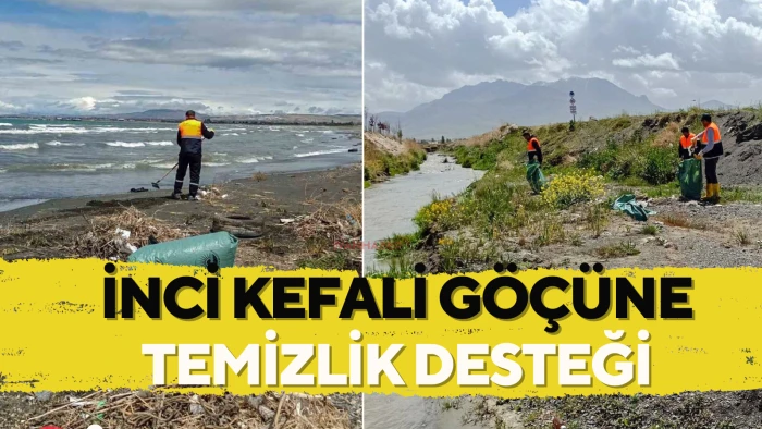 İnci Kefali Göçüne Temizlik Desteği