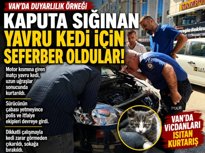 Kaputa Sığınan Yavru Kedi İ&ccedil;in Seferber Oldular