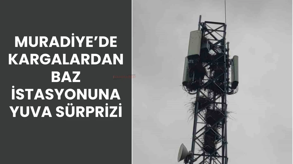 Muradiye’de Kargalardan Baz İstasyonuna Yuva Sürprizi