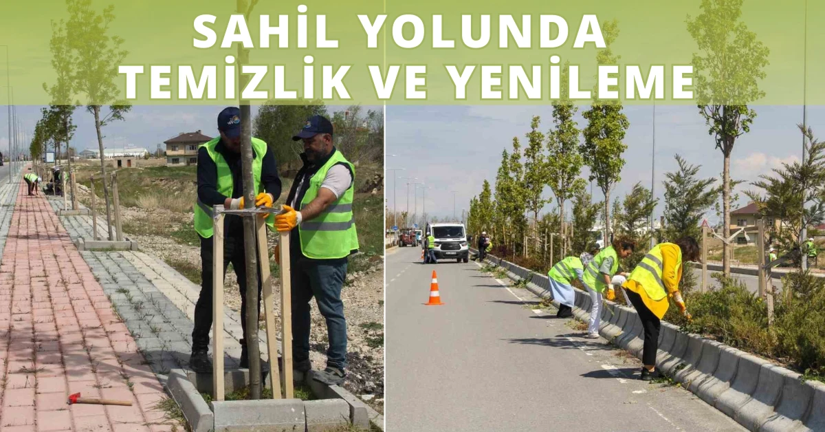 Sahil Yolunda Temizlik ve Yenileme