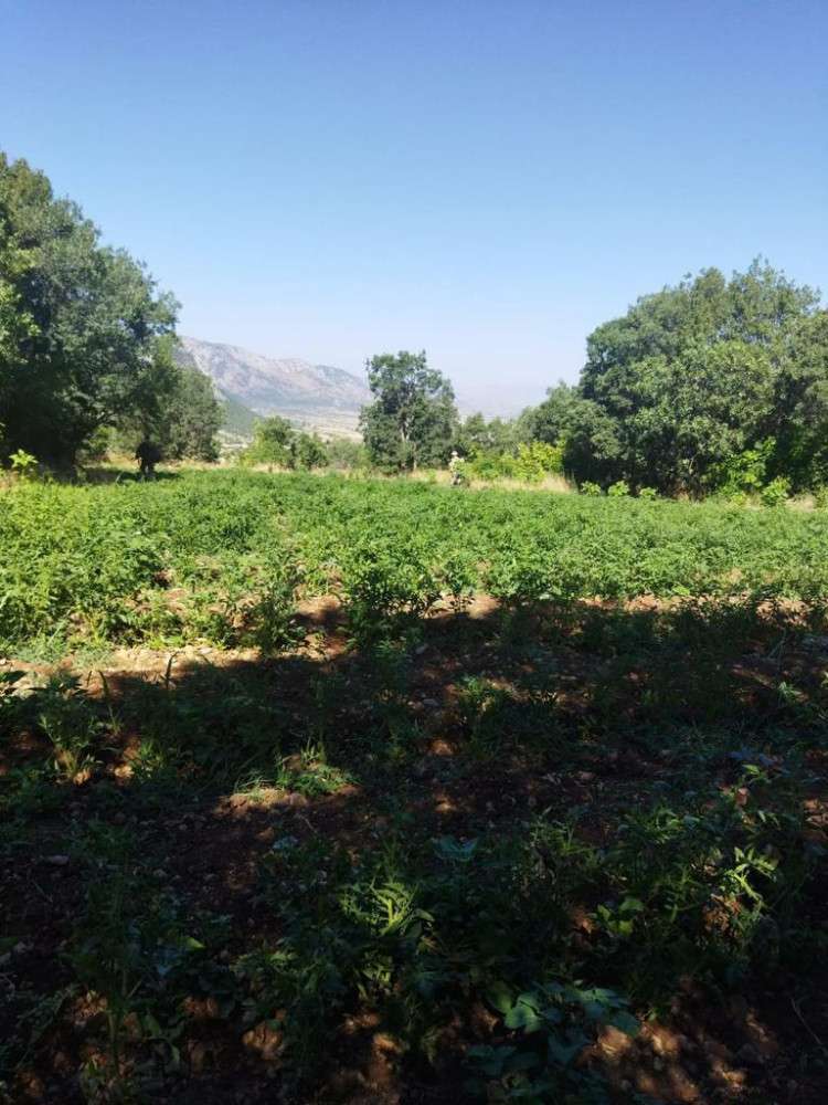 TERÖRÜN FİNANSMAN KAYNAĞINA BİR DARBE DAHA VURULDU