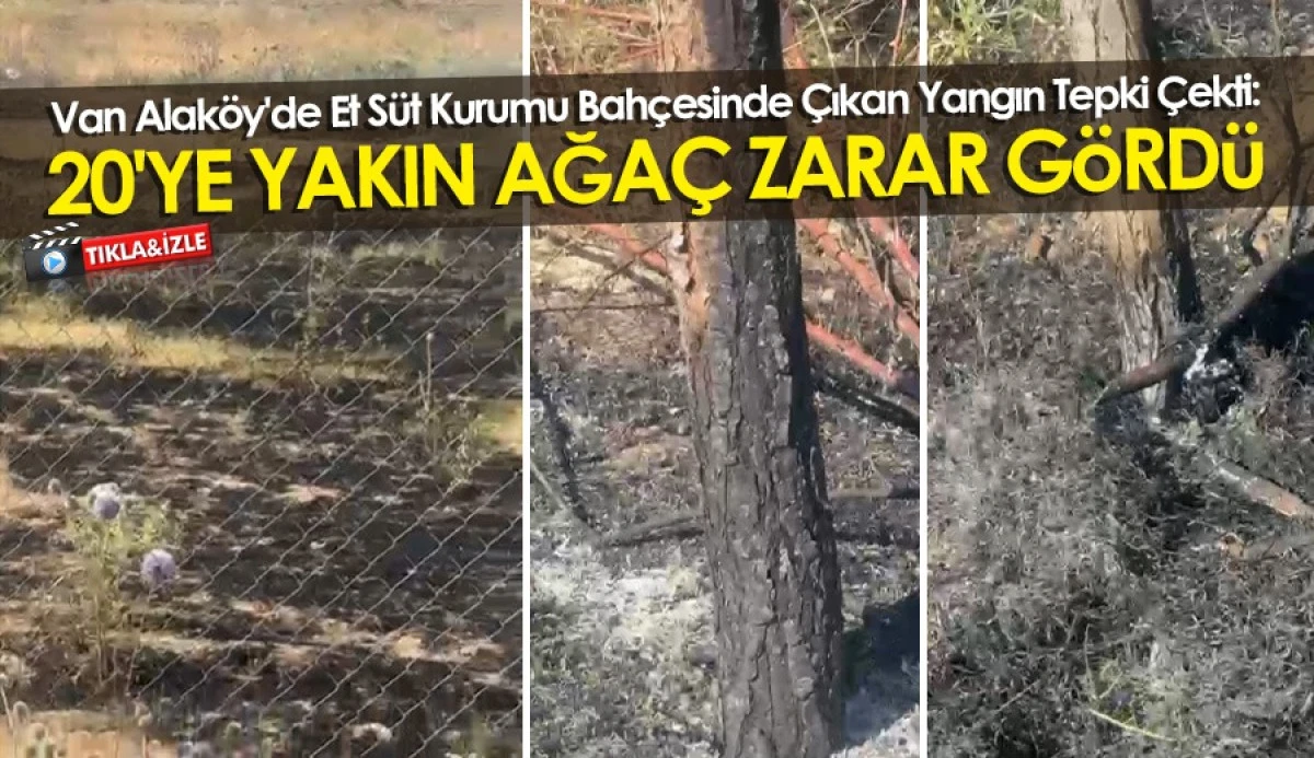Van Alak&ouml;y'de Et S&uuml;t Kurumu Bah&ccedil;esinde &Ccedil;ıkan Yangın Tepki &Ccedil;ekti: 20'ye Yakın Ağa&ccedil; Zarar G&ouml;rd&uuml;