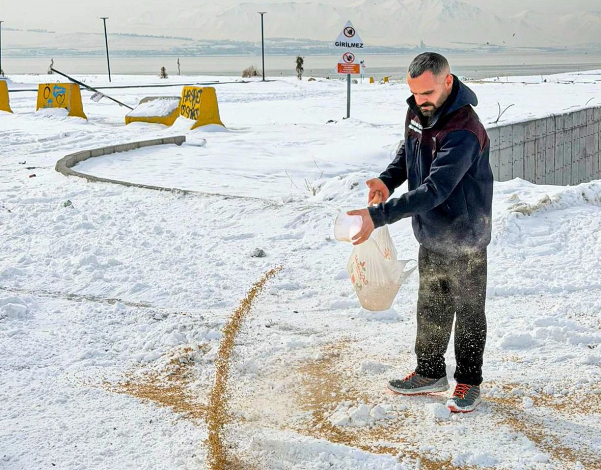 VAN B&Uuml;Y&Uuml;KŞEHİR BELEDİYESİ YABAN HAYATINI UNUTMUYOR