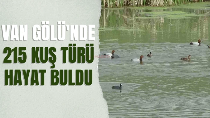 Van Gölü'nde 215 Kuş Türü Hayat Buldu