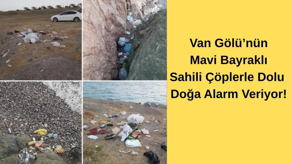 Van Gölü’nün Mavi Bayraklı Sahili Çöplerle Dolu: Doğa Alarm Veriyor!
