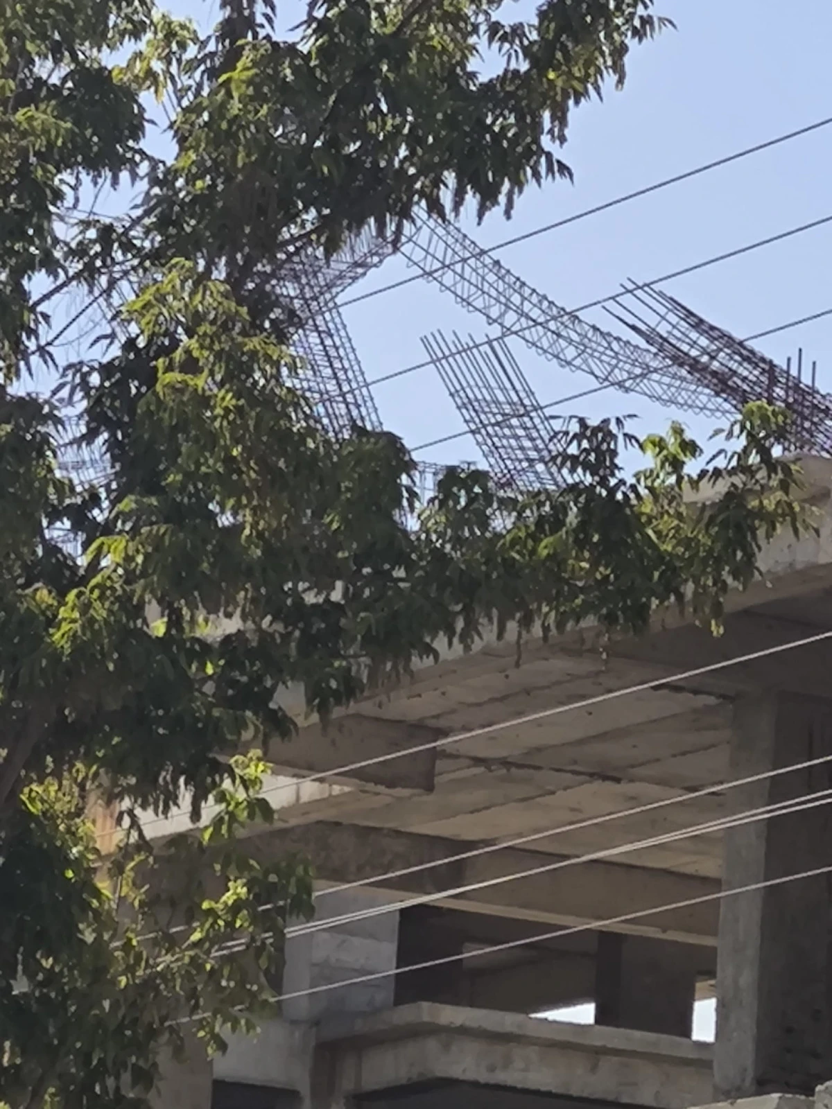 Van’da Elektrik Skandalı Derinleşiyor Teller Ağaçların Arasında, Kurumlar Umursamıyor