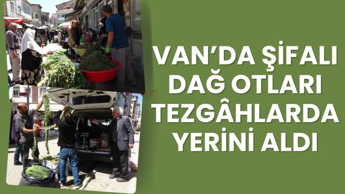 Van’da Şifalı Dağ Otları Tezgâhlarda Yerini Aldı