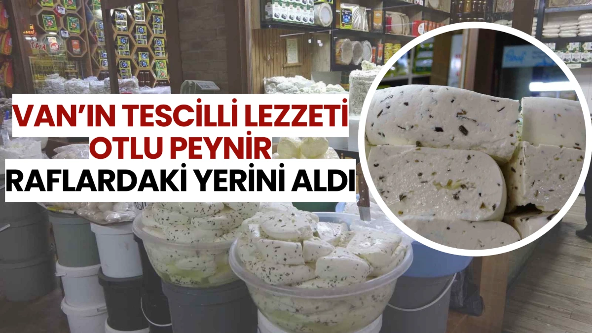 Van’ın Tescilli Lezzeti Otlu Peynir Raflardaki Yerini Aldı
